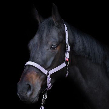 Headcollar Yearling IRH -  Ballerina