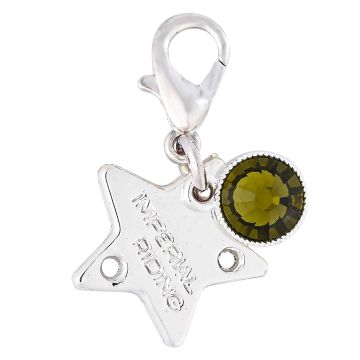 Bridle Charms IRH-Birthstone silver, set of 12 pcs -  Silver