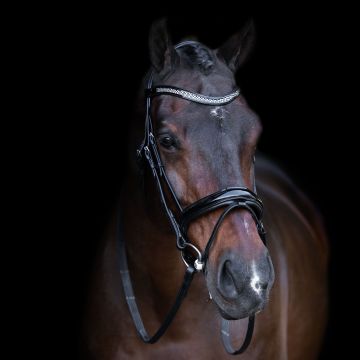 Snaffle bridle with English noseband IRH -  Black-Crystal