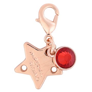 Bridle Charms IRH-Birthstone rosegold, set of 12 pcs - - Roségold