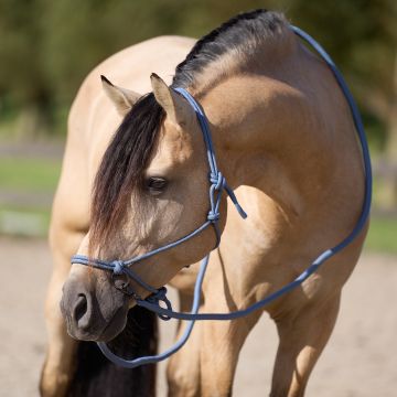 Rope Headcollar IRHFree Ride -  Moonstone