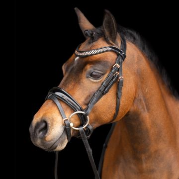 Bridle IRH-Petit -  Black Rose