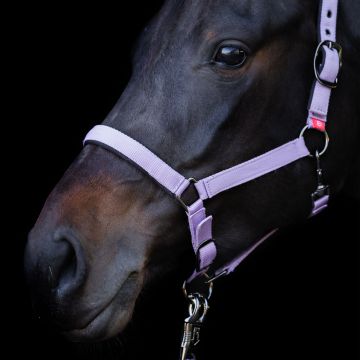 Headcollar Yearling IRH -  Ballerina