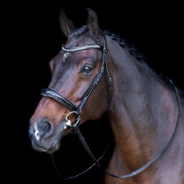 Snaffle bridle with English noseband IRH -  Black-Crystal