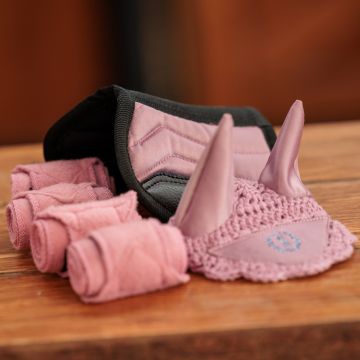 Toy set horseriding IRHPetit -  Ballerina