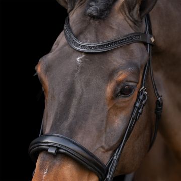 Snaffle bridle with English noseband IRH -  Black-Black