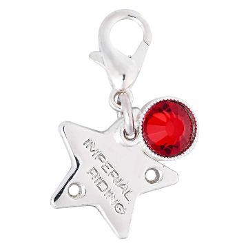 Bridle Charms IRH-Birthstone silver, set of 12 pcs -  Silver