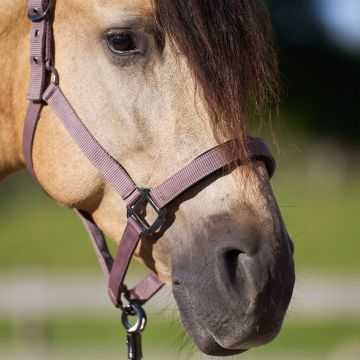 Headcollar IRH-Classic Sport -  Marble