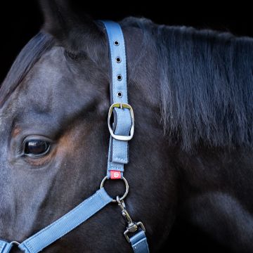 Headcollar Yearling IRH -  Moonstone