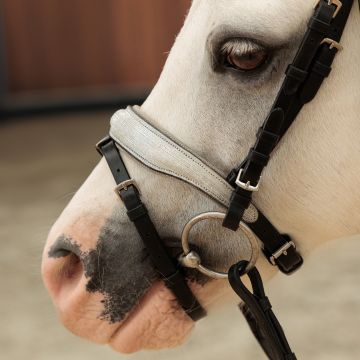 Bridle IRHRainbow