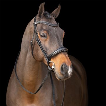 Snaffle bridle with English noseband IRH -  Black-Black