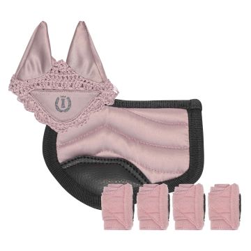 Toy set horseriding IRH-Petit -  Ballerina