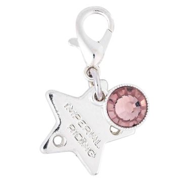 Bridle Charms IRH-Birthstone silver, set of 12 pcs -  Silver