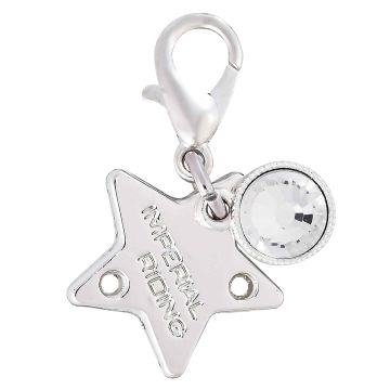 Bridle Charms IRH-Birthstone silver, set of 12 pcs -  Silver
