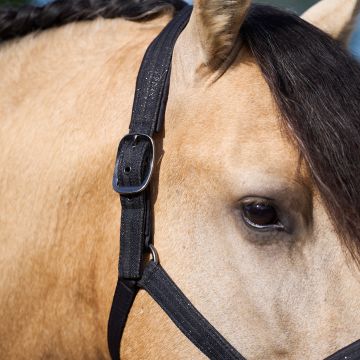Headcollar IRHSparkle -  Black
