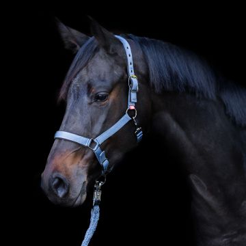 Headcollar Yearling IRH -  Moonstone