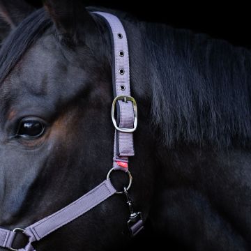 Headcollar Yearling IRH -  Marble