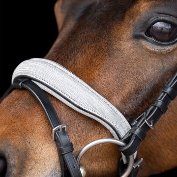 Bridle IRHRainbow