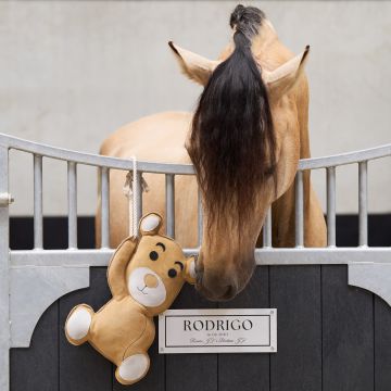 IRH-Stable buddy Teddy -  Natural
