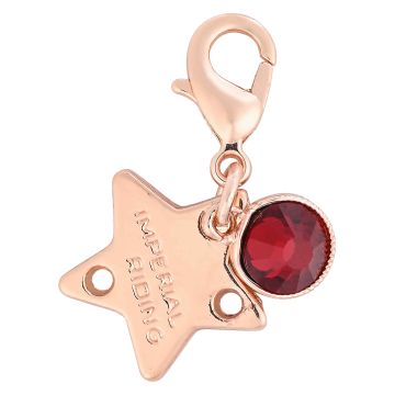 Bridle Charms IRH-Birthstone rosegold, set of 12 pcs - - Roségold