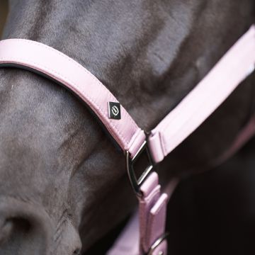 Headcollar IRH-Rebel -  Ballerina