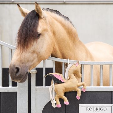 IRH-Stable buddy Pegasus -  Natural