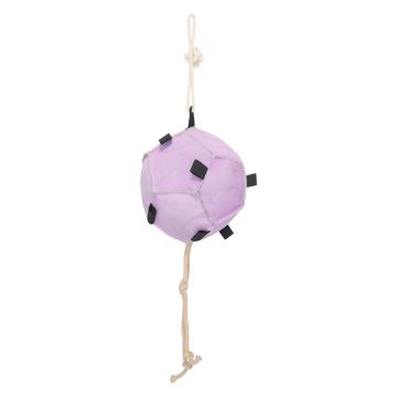 Horse ball IRH-Volley up -  Ballerina