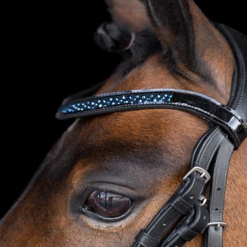 Bridle IRH-Petit -  Sapphire