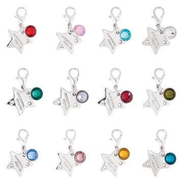 Bridle Charms IRH-Birthstone silver, set of 12 pcs -  Silver