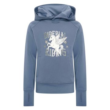 Hoodie IRH-Fly -  Moonstone