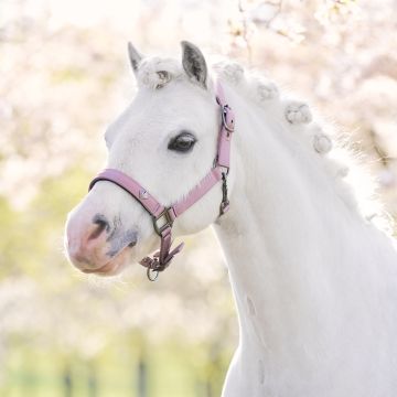 Headcollar IRH-Rebel -  Ballerina