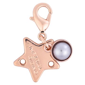 Bridle Charms IRH-Birthstone rosegold, set of 12 pcs - - Roségold