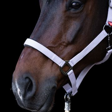 Headcollar IRH-Classic Sport -  Ballerina