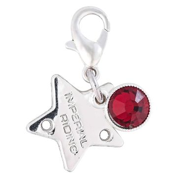 Bridle Charms IRH-Birthstone silver, set of 12 pcs -  Silver
