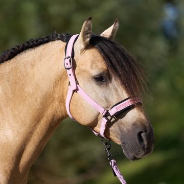 Headcollar IRH-Jewel Mesh -  Ballerina