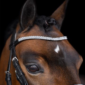 Bridle IRHRainbow