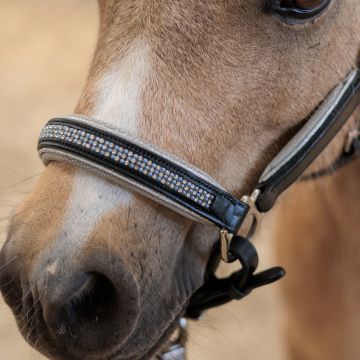 Headcollar IRH-Rainbow -  Latte