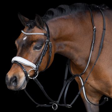 Shetty martingale IRHRainbow  -  Latte