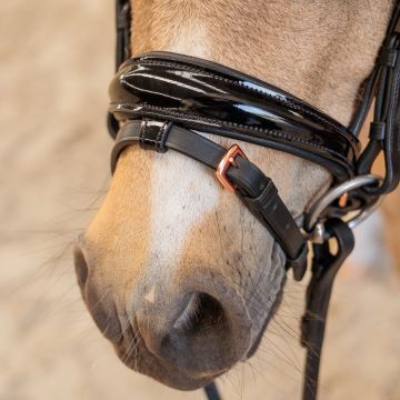 Bridle IRH-Petit -  Black Rose