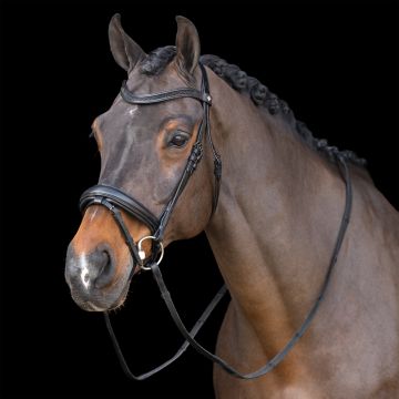 Snaffle bridle with English noseband IRH -  Black-Black