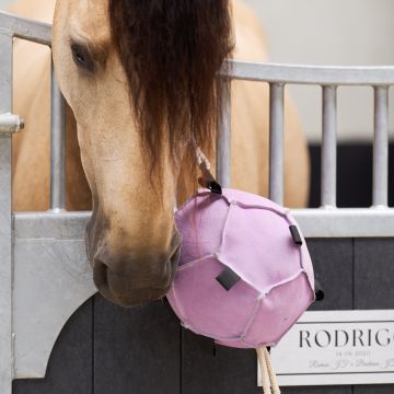 Horse ball IRH-Volley up -  Ballerina