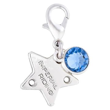 Bridle Charms IRH-Birthstone silver, set of 12 pcs -  Silver