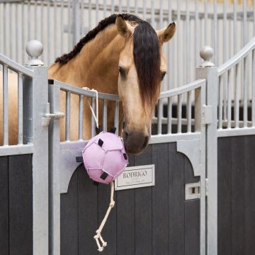 Horse ball IRH-Volley up -  Ballerina