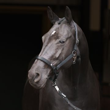 Headcollar IRH-Rebel -  Black
