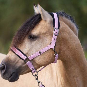 Headcollar IRH-Jewel Mesh -  Ballerina