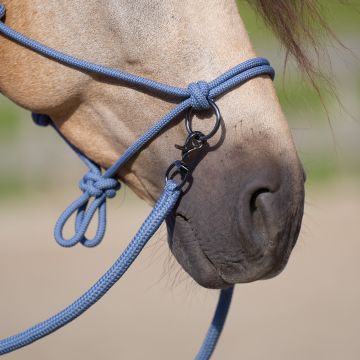 Rope Headcollar IRHFree Ride -  Moonstone