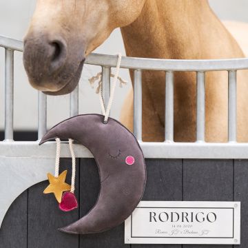 IRH-Stable buddy Moony -  Grey