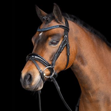Bridle IRH-Petit -  Sapphire