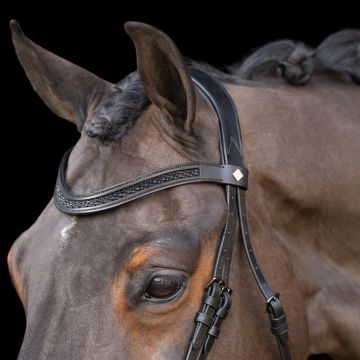Snaffle bridle with English noseband IRH -  Black-Black