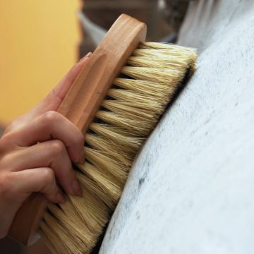 Mixed brush IRHNatural -  Natural